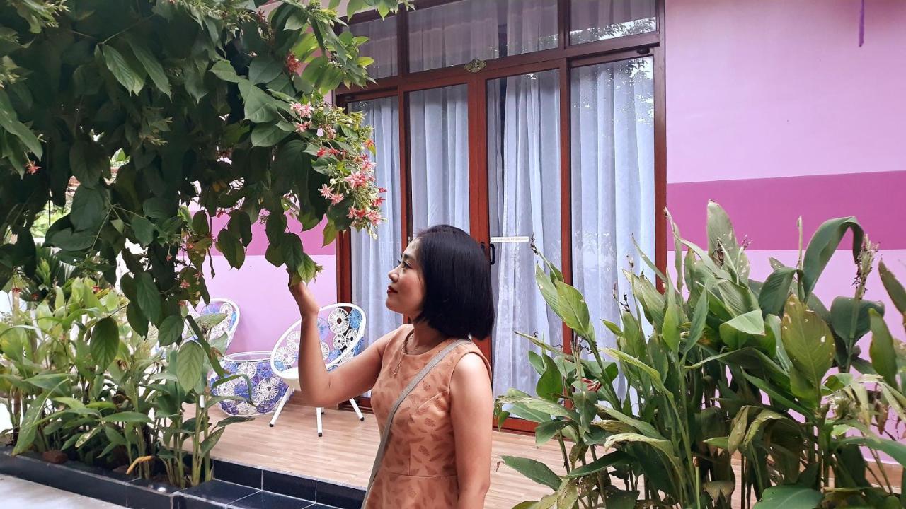 Pink House Homestay Hoi An Eksteriør bilde